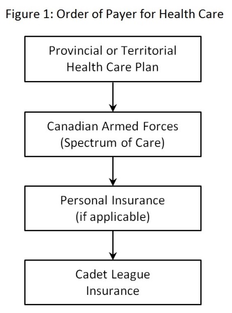 Figure 1: Order of Payer for Health Care